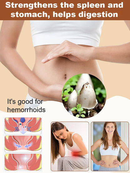 Authentic Termitomyces Mushroom Strain