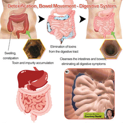 South Moon™ Abdominal Care Oil- Belly Massage Treatment Oil